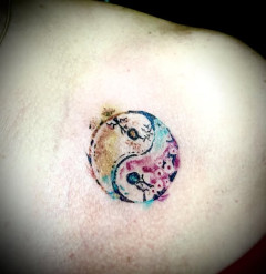 469823075 diameter 3 cm